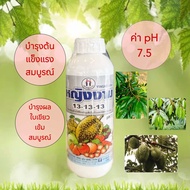 ++หญิงงาม 13-13-13 ปุ๋ยน้ำ 🌲ขนาด 1 ลิตร บำรุงต้นแข็งแรงสมบูรณ์ ใบเขียวเข้ม บำรุงผล 🌲☘️