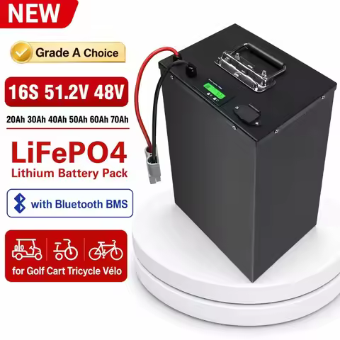 16S 51.2V 48V 20Ah 30Ah 40Ah 50Ah 60Ah 70Ah Lifepo4 Lithium Battery Pack with Bluetooth BMS for Golf