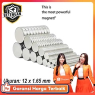 YUE Powerful Neodymium Round Magnet NdFeB N24 12x1.65mm 100 PCS - YN35