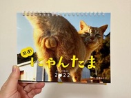 芳澤ルミ子 貓蛋寫真桌曆 2022