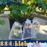 草莓樹莓無花果藍莓果實套袋紗袋家庭盆栽果蔬水果苗套袋透氣防蟲