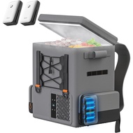 LiTHELi Frozen Pack 12V Car Refrigerator & Electric Cooler, 21QT20L Portable Fridge (-4-68℉), Batter