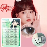 Korean Girl Group 2.0 Curved Stem False Eyelash Natural Thin Segmented Piece Curl Lightweight B2w8