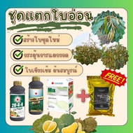 #ชุดแตกใบอ่อน บำรุงใบชุดเเรก เร่งการแตกยอด ( Mix-edta+โปรซีวีดพลัส+20-4-4+แถม แบล็กเอิร์ท ) #ดวงตะวั