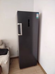 100%新 單門雪櫃 風冷無霜 雙變頻家用 小型櫃桶式雪櫃  冷凍冰櫃 立式冷凍櫃 單門雪櫃送貨上門