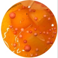 DUO tropical mango bingsu slime 🍧