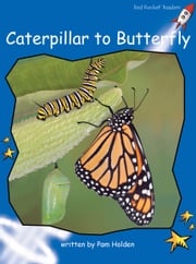 Caterpillar to Butterfly (Readaloud) Pam Holden