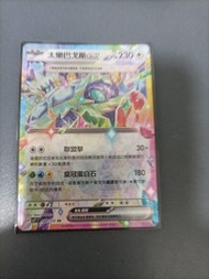 Pokemon EX 噴火龍 卡牌