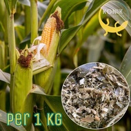Silase Jagung (Jagung Muda, Kulit, Batang, Daun) Murni Pure Kualitas Ekspor Pakan Makanan Kura Darat