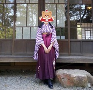 日本卒業式和服 二尺袖 大正浪漫