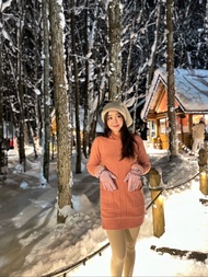 CD20 เดรสไหมพรมบุขนคอปีน