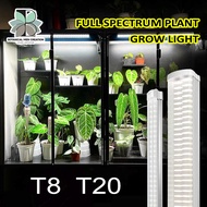 BMC Succulent plant growth lamp full spectrum lamp tube Plant Grow Light Indoors T20 T8 cross-border