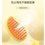 全城熱賣 - 寵物噴霧按摩梳 | USB 充電 (橙色) | 寵物按摩 | 貓毛梳 | 狗毛梳
