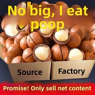 「TW‧Food」 Cream Flavor Raw Macadamia Nuts 200g
