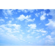 Tom Cat < Supermarket Shipping Fee-Exclusive Store >