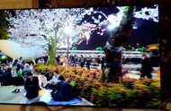 搬屋55吋oled55吋lg oled 55 G1 pca 4200Hkd. 智能電視smart TV。