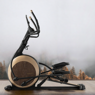 Merach | Smart Silent Elliptical Machine