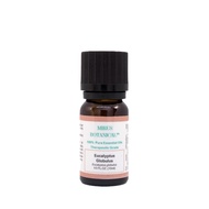 Eucalyptus Globulus Essential Oil