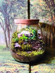 15*15.5cm  苔蘚微景觀  青龍石景  天然綠植 苔蘚生態瓶 植物擺件 桌面擺設 窗台裝飾 苔蘚花園 懶人植物 辦公室擺設 情緒治癒 禮物