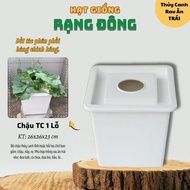 Chậu Thủy Canh RAU ĂN TRÁI 1 LỖ - Thùng/Chậu nhựa trồng rau thủy canh Tĩnh và Hồi lưu 2in1 - h2t far