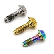2Pcs Titanium Alloy Bicycle Five-Wire Body Screw Oil Brake Accessories for