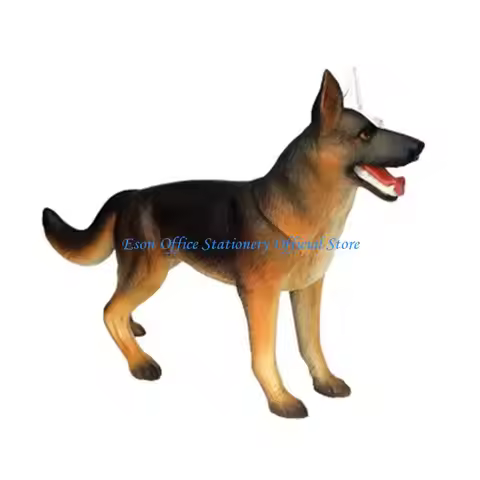 G8DC Dog Anatomy Model with Detachable Organs Body Parts for Child