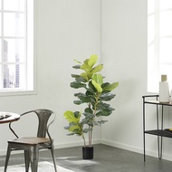 Artificial Plant Artificial Tree Fiddle Leaf Fig Fake Tree Home Indoor Decor 140CM Real Touch