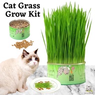 Cat Grass Planting Pot Cat Snacks To Remove Hair Balls Hair Paste Cleaning Teeth Edible Wheat Seeds Lazy Cat Grass