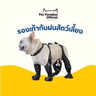 PetParadise.th Dog Hiking Shoes Soil Protection Heat Resistant While Walking On Hot Roads