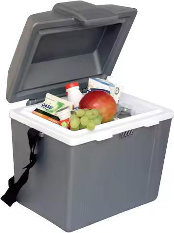 12V Iceless Cooler 9.8 Qt Portable Mini Fridge for Car, Camp, Travel, Food & Drinks