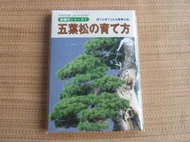 (青松栽) 近代盆栽 樹種別1 五葉松培育法 日文書