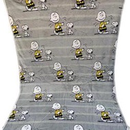 [現貨]史努比空調毯 Snoopy條紋 花生漫畫潮流復古 毛毯可愛個性獨特午睡宿舍 生日交換禮品