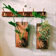 【可來圖客製】綠上板・開幕送禮/創意門牌/質感告示牌/營業掛牌