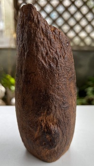 加里曼丹 野生沉香老料 285公克 沉香擺件 【沉水級】 星洲系