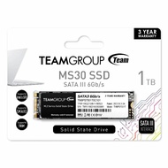 Team Group MS30 SSD 1TB M.2 2280 SATA III