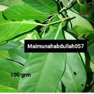 Daun Salam/Bay Leaf.