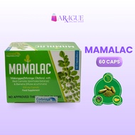 MAMALAC Malunggay Capsule+Red Camote+Banana 60capsules per box