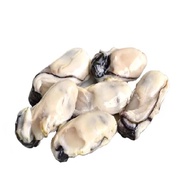 [TASTY FROZEN] Oyster Meat (PK) 蚝煎肉 800g~1kg