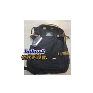 🈶現貨 GREGORY ALL DAY V2.1 24L背包 black/brown