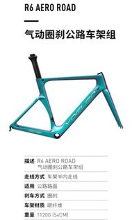 Yoeleo R6 優利奧 2021碳纖維公路車架  R6破風氣動圈剎 大組公路車架組 carbon roadbike frameset