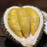 Durian Musang King Bulat Utuh Fresh