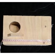 LARGE SIZE BIRD BOX HOUSE FOR AFRICAN LOVE BIRDS