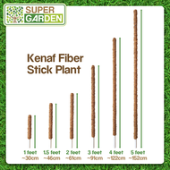 Kenaf Stick Kenaf Pole Batang Sabut Kelapa for Climbing Plant High Quality Coco/Kenaf Stick Climbing
