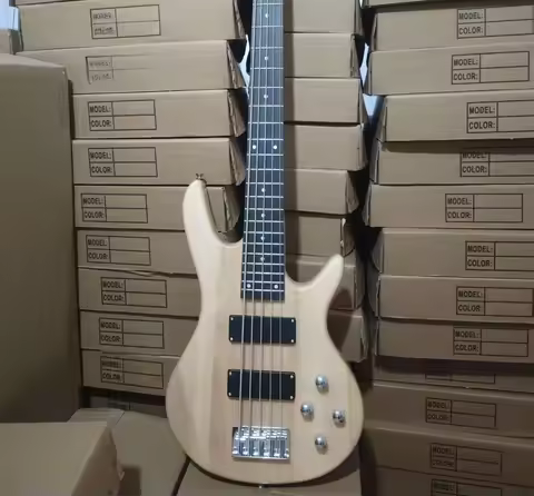 Hot Sales China Factory 5 String Electric Bass Combo Rosewood Fingerboard Electric Bass Guitar
