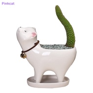 Pinkcat Succulent Pot Cat Shape Corrosion-resistant Ceramic Small Succulent Pot Ornament SG