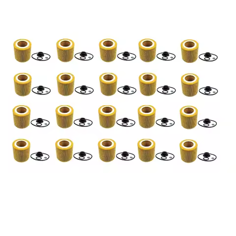 20 Pack Oil Filter Fit for BMW 228i 320i 328i 428i 528i X1 X4 Z6 F20 F21 F30 F31 HU816Z 11427953125 