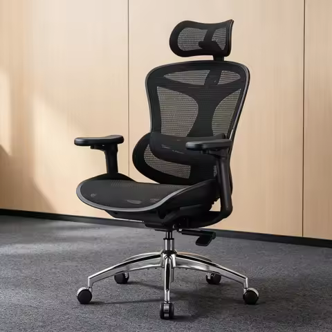 SIHOO Doro C300 Ergonomic Office Chair 6D Armrests Dynamic Lumbar Support Mesh Computer Chair Adjust