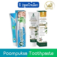 Poompuksa Toothpaste 50g 50g