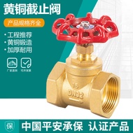 All Copper Check Valve dn15 High Temperature Valve Switch Valve 20 Steam Valve 25 Air Conditioning W