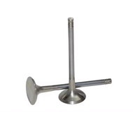 SAIC Engine Parts Engine Valve Intake Valve Exhaust Valve1TZ 1TAT6 1TZH